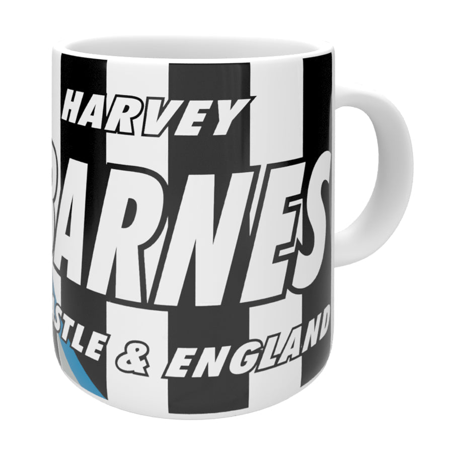 Barnes Newcastle Mug