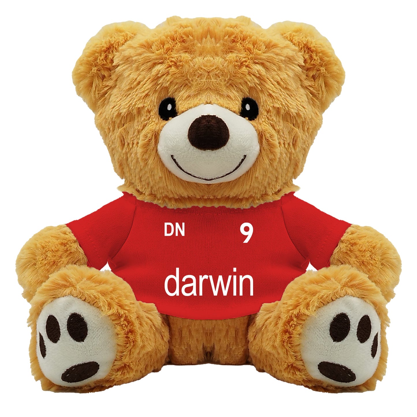 Nunez Teddy Bear - 20cm