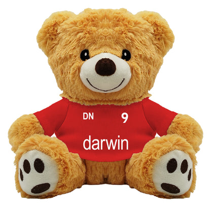 Nunez Teddy Bear - 20cm